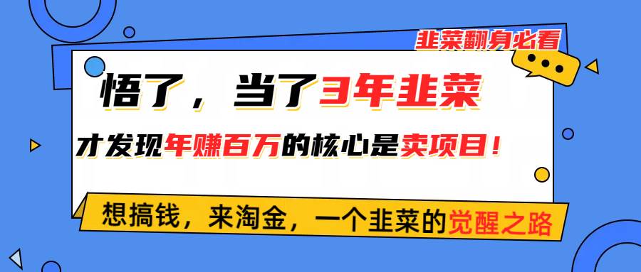悟了，当了3年韭菜，才发现网赚圈年赚100万的核心是卖项目，含泪分享！-墨昀爱搬砖