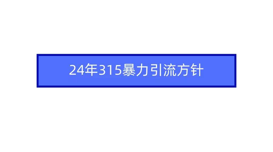 2024年315暴力引流方针-墨昀爱搬砖