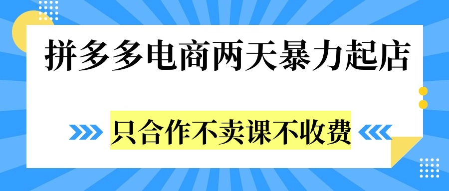 拼多多两天暴力起店，只合作不卖课不收费-墨昀爱搬砖