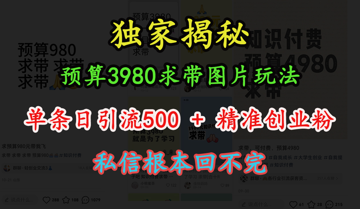 “小红书”预算3980求带 图片玩法，单条日引流500+精准创业粉，私信根本回不完-墨昀爱搬砖