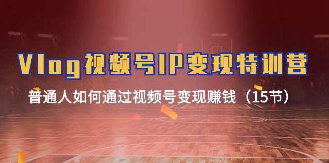 Vlog 视频号IP变现特训营，普通人如何通过视频号变现赚钱（15节）-墨昀爱搬砖