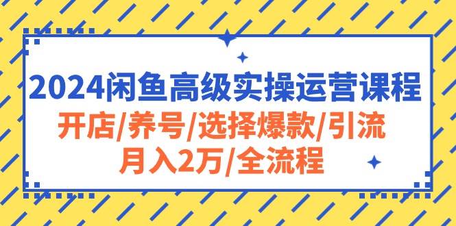 2024闲鱼高级实操运营课程：开店/养号/选择爆款/引流/月入2万/全流程-墨昀爱搬砖