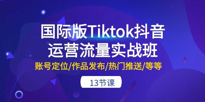 国际版Tiktok抖音运营流量实战班：账号定位/作品发布/热门推送/等等-13节-墨昀爱搬砖