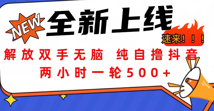 解放双手无脑 纯自撸抖音 两小时一轮500+-墨昀爱搬砖