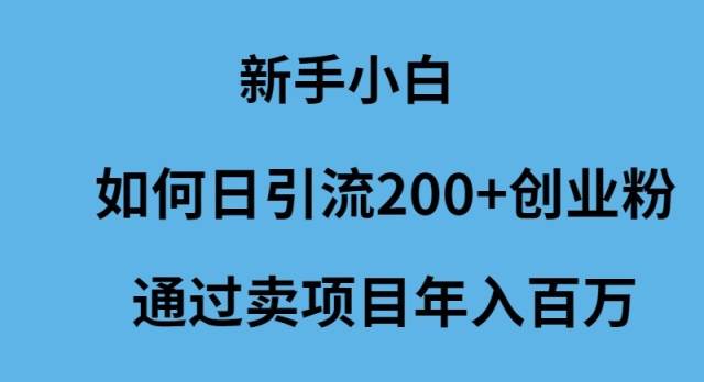 新手小白如何日引流200+创业粉通过卖项目年入百万-墨昀爱搬砖