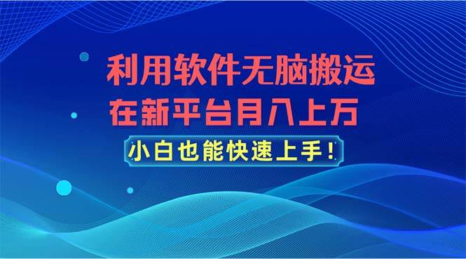 利用软件无脑搬运，在新平台月入上万，小白也能快速上手-墨昀爱搬砖