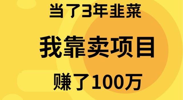 当了3年韭菜，我靠卖项目赚了100万-墨昀爱搬砖