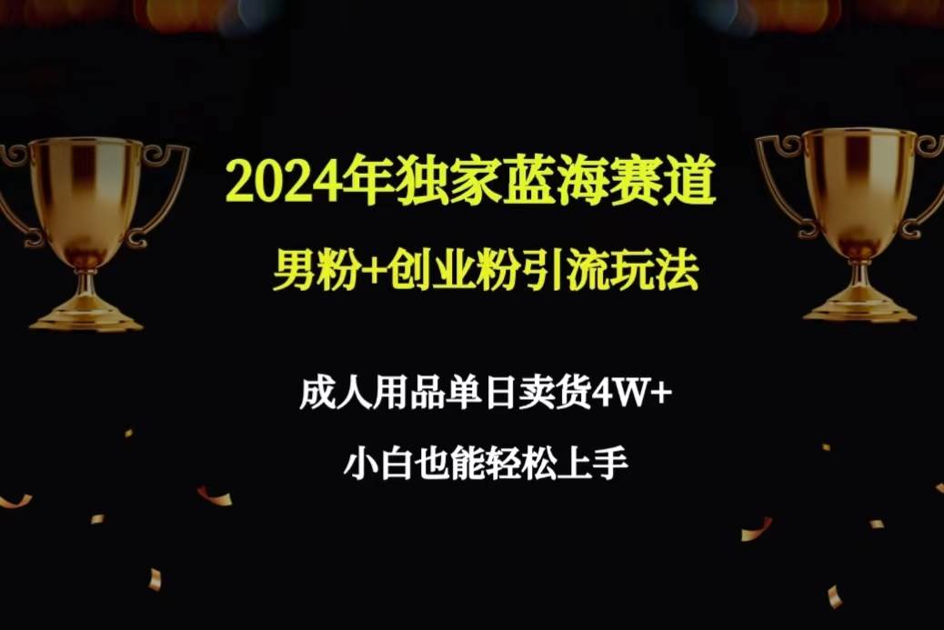 2024年独家蓝海赛道男粉+创业粉引流玩法，成人用品单日卖货4W+保姆教程-墨昀爱搬砖