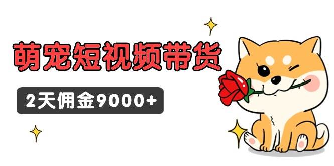 东哲日记·萌宠短视频带货，2天佣金9000+-墨昀爱搬砖