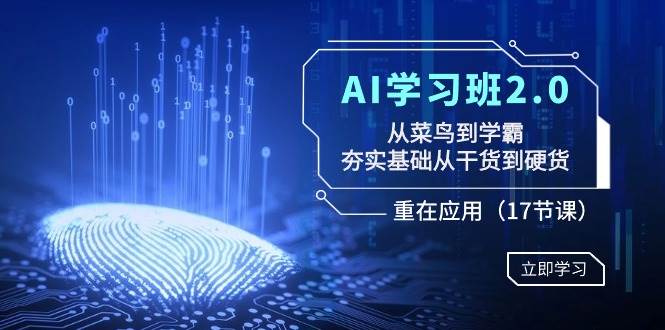 AI学习班2.0：从菜鸟到学霸，夯实基础从干货到硬货，重在应用（17节课）-墨昀爱搬砖