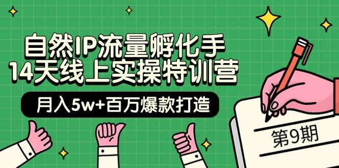 自然IP流量孵化手 14天线上实操特训营【第9期】月入5w+百万爆款打造 (74节)-墨昀爱搬砖