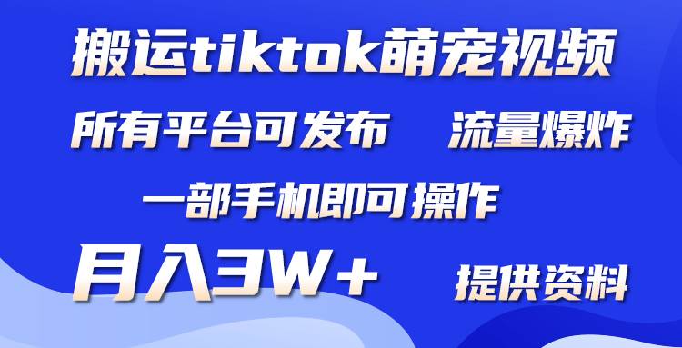 搬运Tiktok萌宠类视频，一部手机即可。所有短视频平台均可操作，月入3W+-墨昀爱搬砖