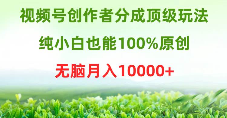 视频号创作者分成顶级玩法，纯小白也能100%原创，无脑月入10000+-墨昀爱搬砖