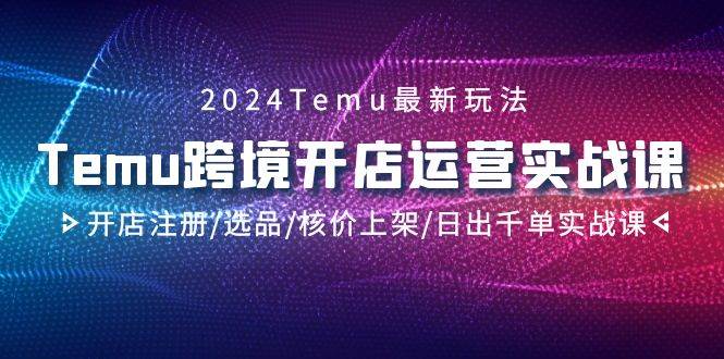 2024Temu跨境开店运营实战课，开店注册/选品/核价上架/日出千单实战课-墨昀爱搬砖