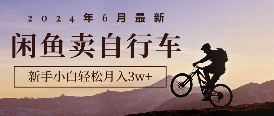 2024年6月最新闲鱼卖自行车，新手小白轻松月入3w+项目-墨昀爱搬砖
