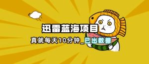 迅雷浏览器项目_真就每天忙活10分钟，完整拆解+热点把控(超详细拆解教程)-墨昀爱搬砖