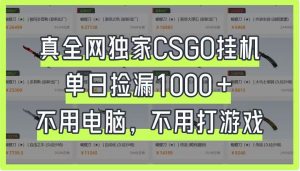 真全网独家CSGO挂机，单日捡漏1000+，不用电脑，不用养号-墨昀爱搬砖