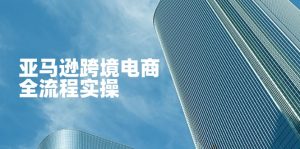 亚马逊跨境电商全流程实操，教你从零开始，掌握店铺运营与广告技巧-墨昀爱搬砖