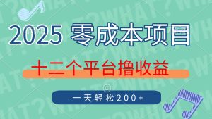 2025年零成本项目，十二个平台撸收益，单号一天轻松200+-墨昀爱搬砖