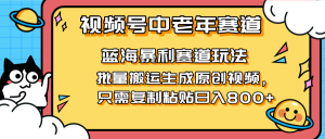 2025视频号中老年短视频蓝海暴利风口！复制粘贴搬运视频单日赚800+，无…-墨昀爱搬砖