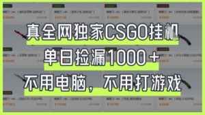 真全网独家CSGO挂G，单日捡漏1k+【揭秘】-墨昀爱搬砖
