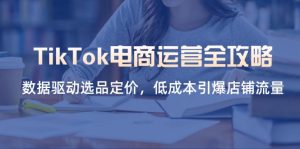 TikTok电商运营全攻略，数据驱动选品定价，低成本引爆店铺流量-墨昀爱搬砖
