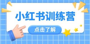 小红书训练营，助小白入门，掌握技巧变达人，课程实操又全面(12节课)-墨昀爱搬砖