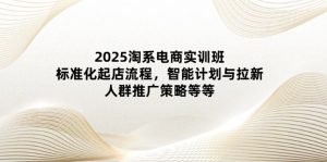 2025淘系电商实训班：标准化起店流程，智能计划与拉新，人群推广策略等等-墨昀爱搬砖
