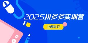 2025拼多多实训营:深度剖析运营关键,助力电商人快速提升-墨昀爱搬砖