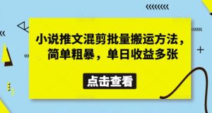 小说推文混剪批量搬运方法,简单粗暴,单日收益多张-墨昀爱搬砖
