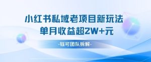 小红书私域项目新玩法，单月变现过W+-墨昀爱搬砖