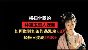 横扫全网的林黛玉怼人视频，如何做到九条作品涨粉7.8万，轻松日变现1k-墨昀爱搬砖