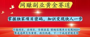 网创副业黄全赛道，掌握独家项目密码，知识变现快人一步，告别韭菜轻松实现单日变现1k+【揭秘】-墨昀爱搬砖