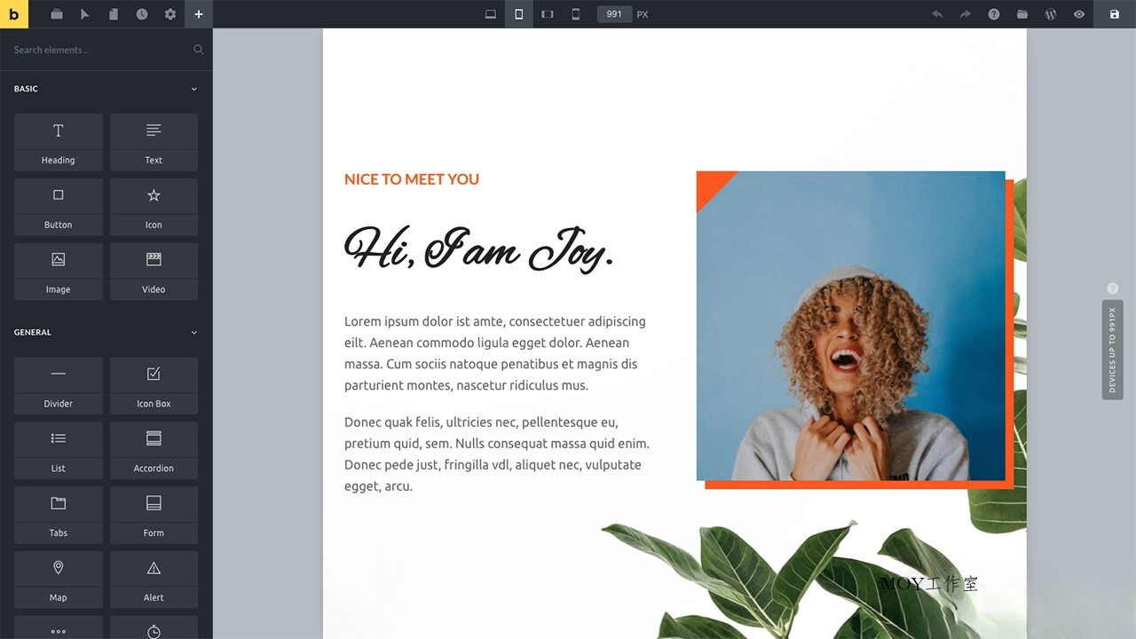 WordPress主题Bricks v1.9 破解版-墨昀爱搬砖