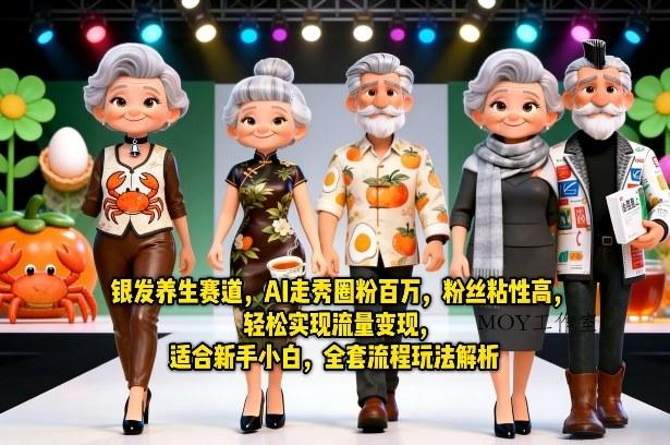 银发养生赛道，AI走秀圈粉百万，粉丝粘性高，轻松实现流量变现，适合新手小白，全套流程玩法解析-墨昀爱搬砖