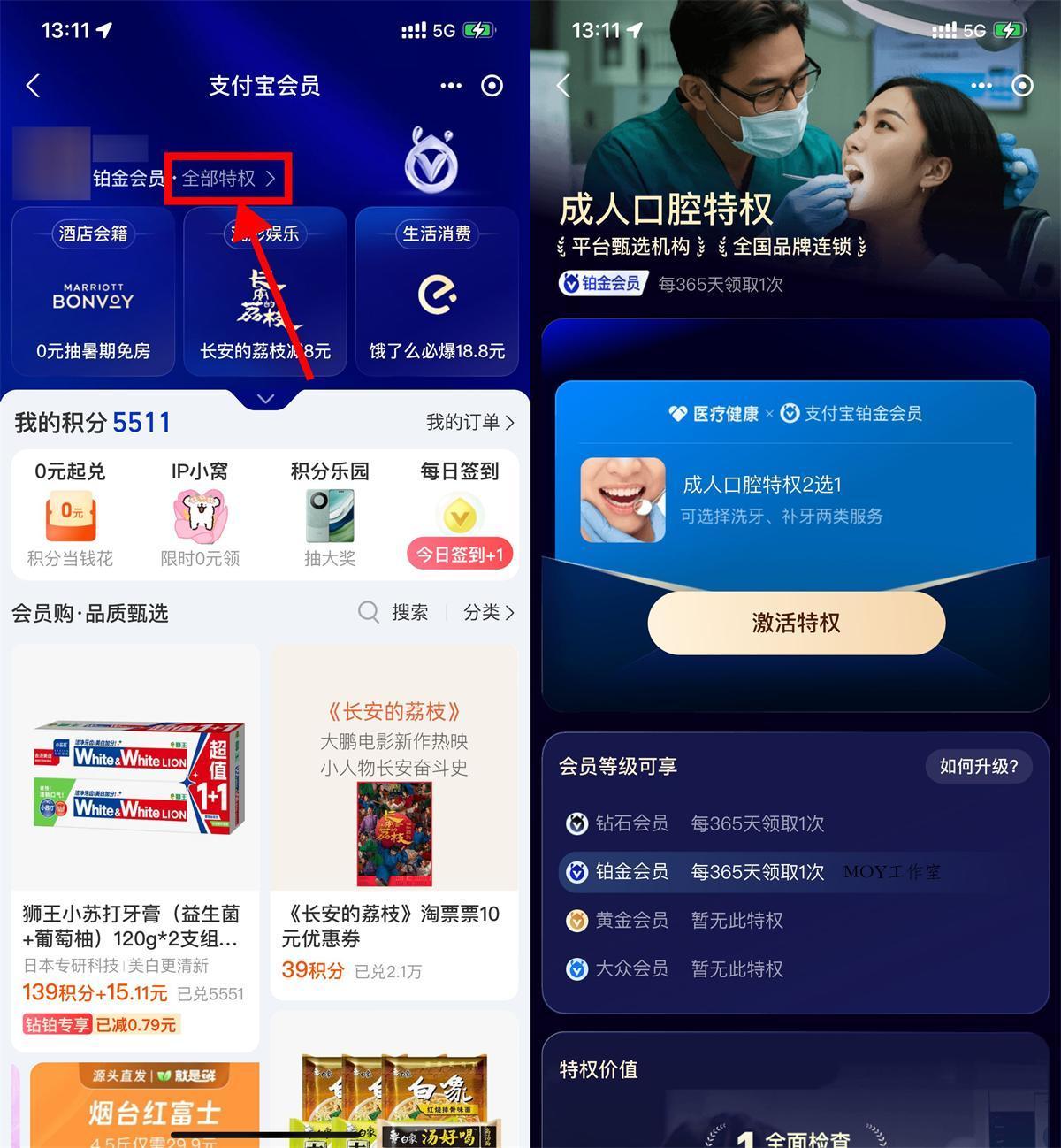 支付宝铂金钻石会员免费洗牙-墨昀爱搬砖