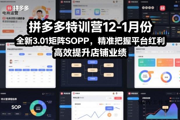 拼多多特训营12-1月份，全新3.01矩阵Sop，精准把握平台红利，高效提升店铺业绩-墨昀爱搬砖