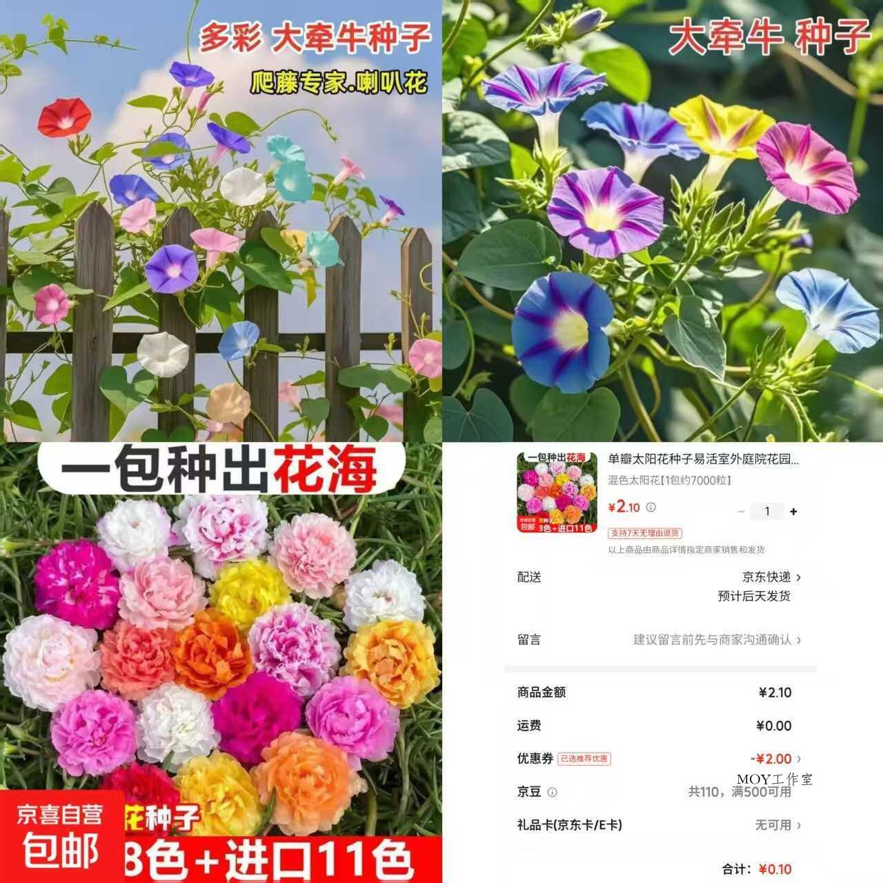 京东0.1太阳花种子约7000粒-墨昀爱搬砖