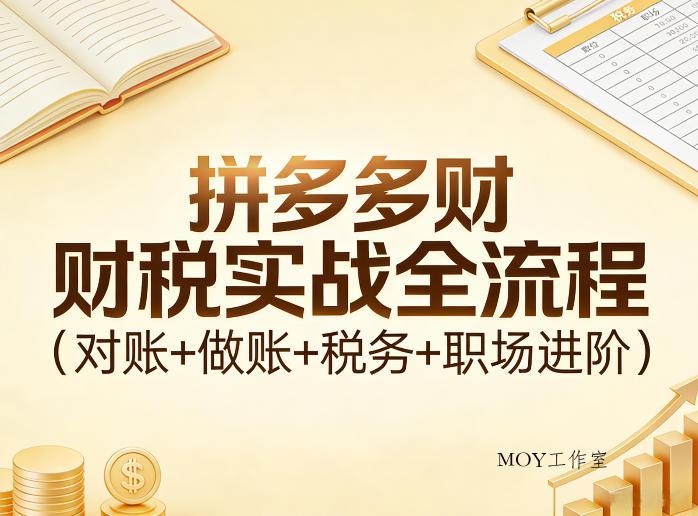 拼多多财税实战全流程(对账+做账+税务+职场进阶)-墨昀爱搬砖