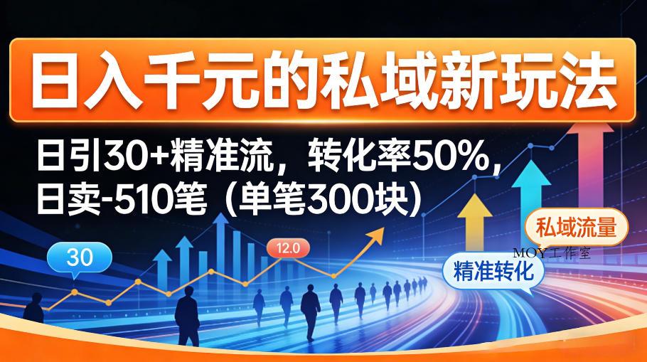 日入千米的私域新玩法：日引30＋精准流，转化率50%，日卖5-10笔(单笔300米)-墨昀爱搬砖
