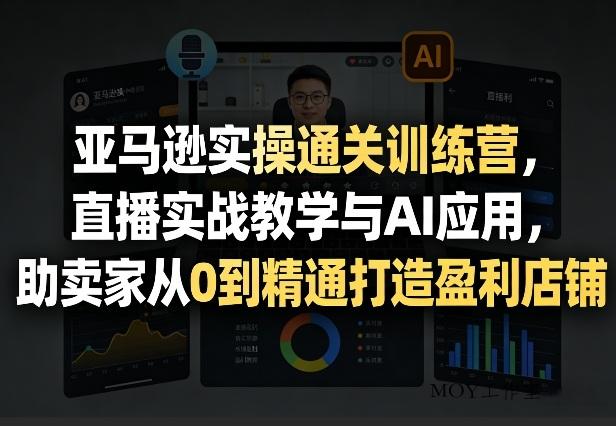 亚马逊实操通关训练营，直播实战教学与AI应用，助卖家从0到精通打造盈利店铺(更新3月)-墨昀爱搬砖