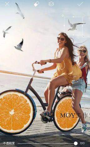 Picsart美易 v29.1.4高级版-墨昀爱搬砖