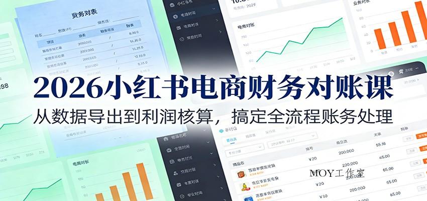 2026小红书电商财务对账课：从数据导出到利润核算，搞定全流程账务处理-墨昀爱搬砖