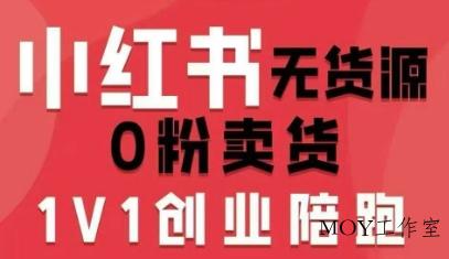 小红书无货源0粉电商课，开店准备、选品策略、笔记撰写、视频剪辑、数据分析、账号打造、资料文档(更新)-墨昀爱搬砖
