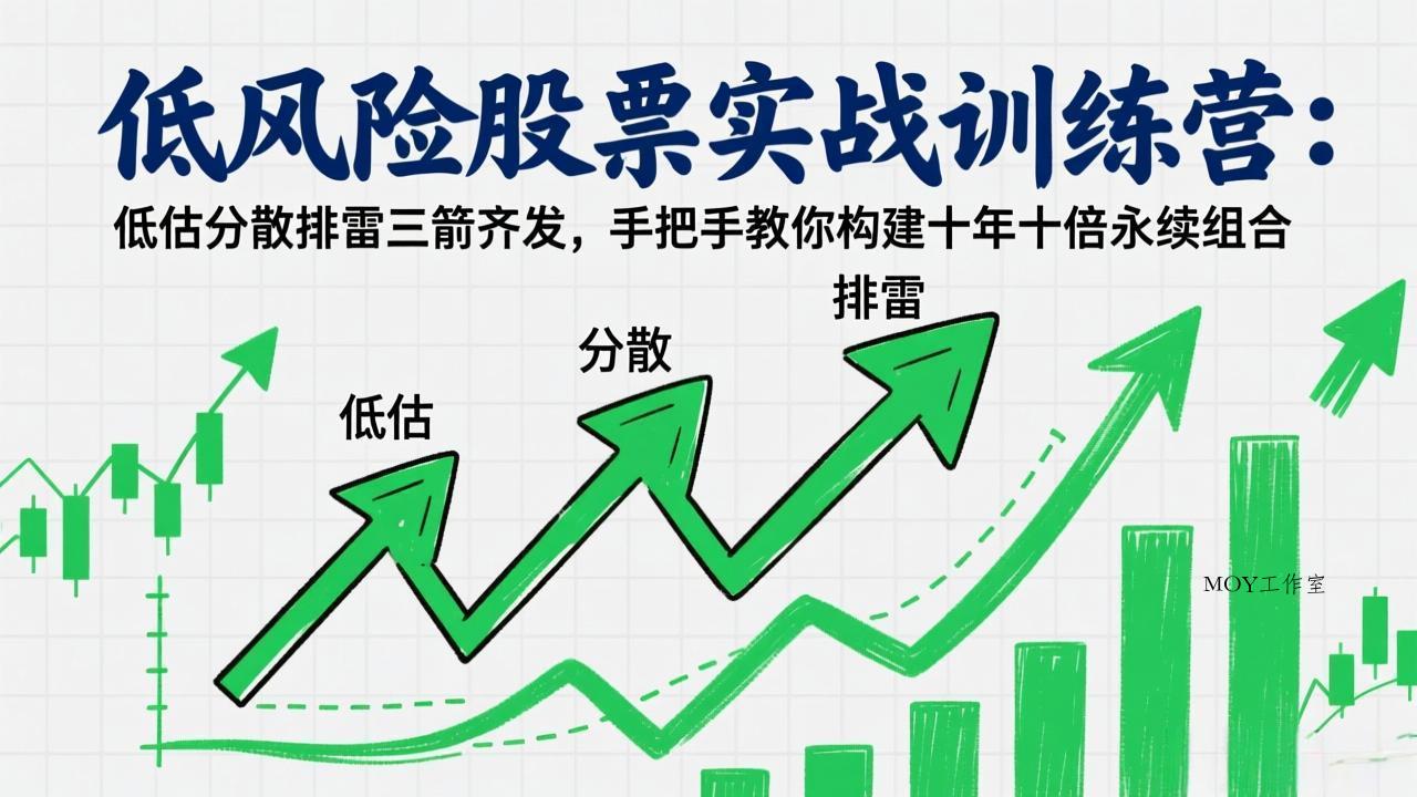 低风险股票实战训练营：低估分散排雷三箭齐发，手把手教你构建十年十倍永续组合-墨昀爱搬砖