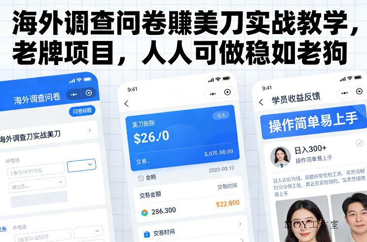 海外调查问卷賺美刀实战教学，老牌项目，人人可做稳如老狗-墨昀爱搬砖