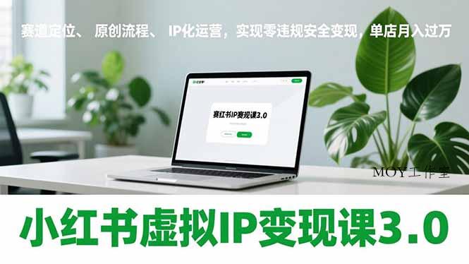 小红书虚拟IP变现课3.0，赛道定位、原创流程、IP化运营，实现零违规安全变现，单店月入过万-墨昀爱搬砖