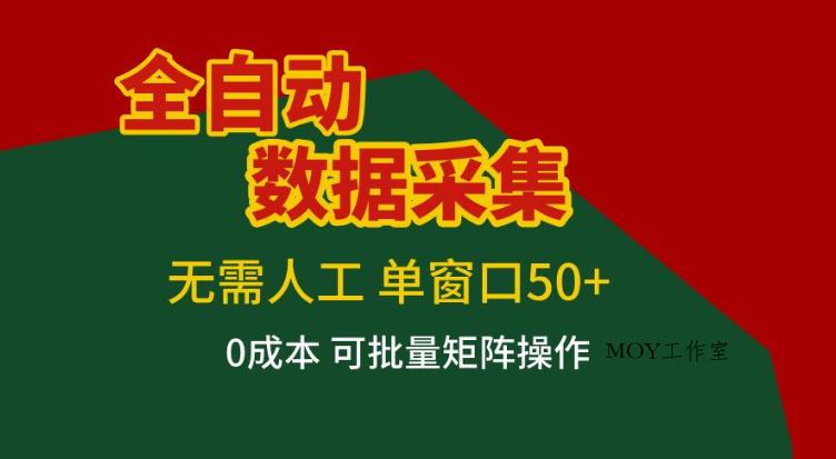 全自动数据采集，无需人工，单窗口50+，0成本可批量矩阵操作【揭秘】-墨昀爱搬砖