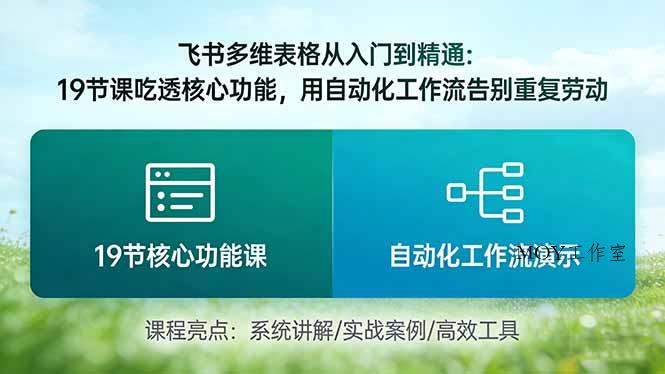 飞书多维表格从入门到精通：19节课吃透核心功能，用自动化工作流告别重复劳动-墨昀爱搬砖