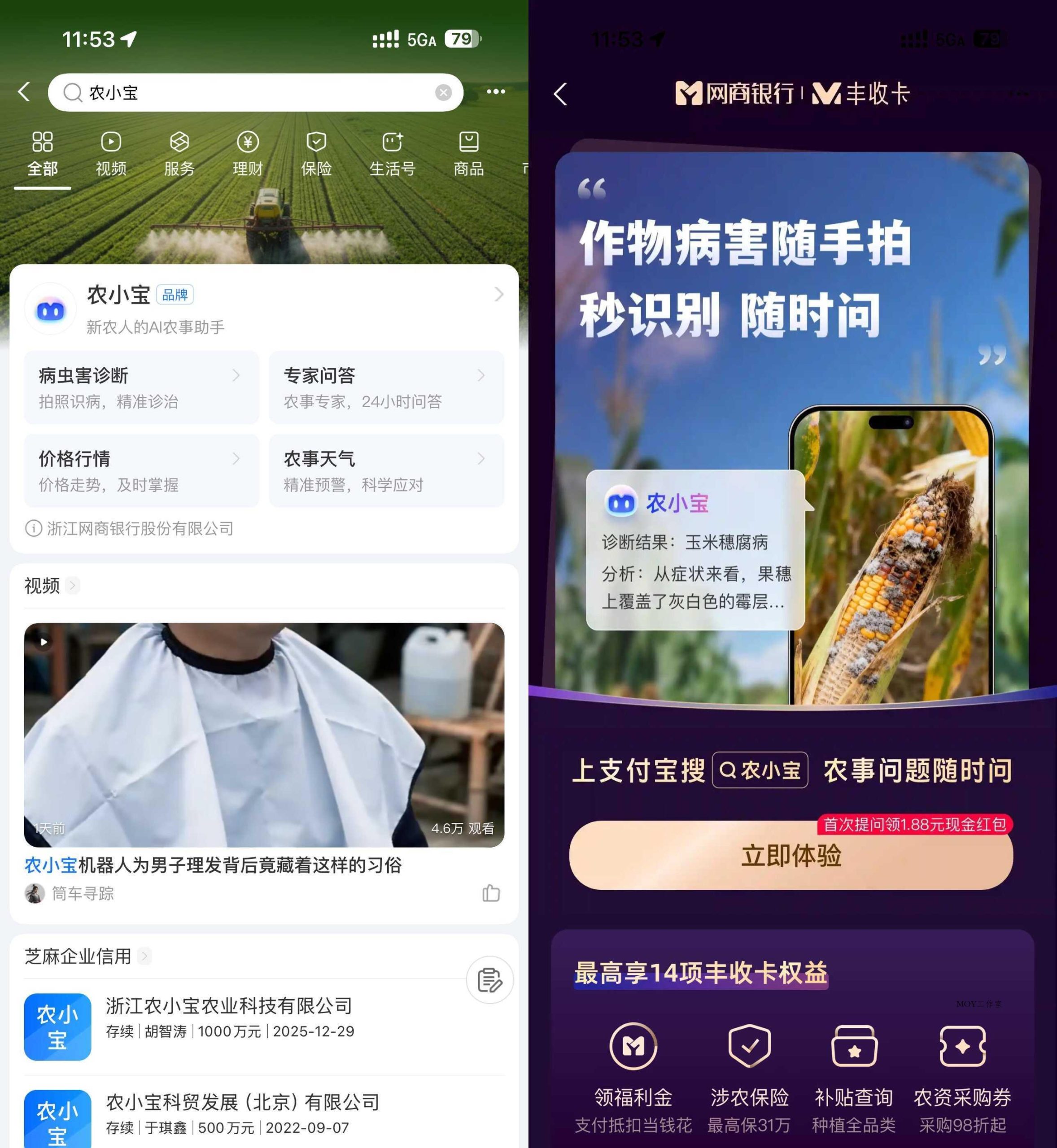 支付宝农小宝首次提问得1.88亓-墨昀爱搬砖